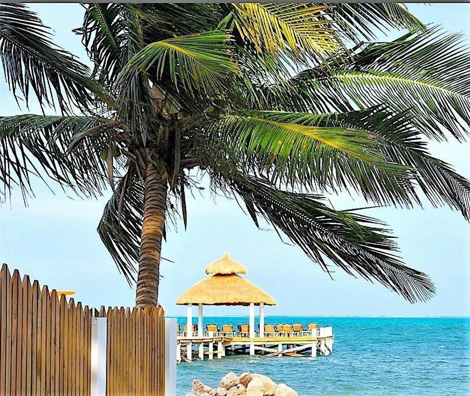 Velento Partial Ocean View Penthouse #7 Villa Caye Caulker Buitenkant foto